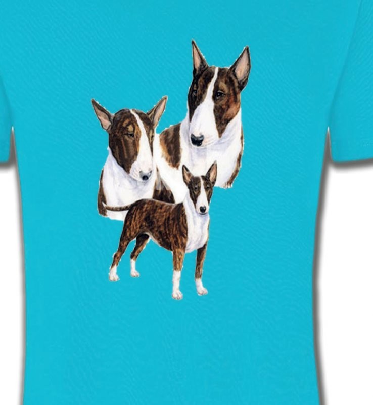Bull Terrier (H)
