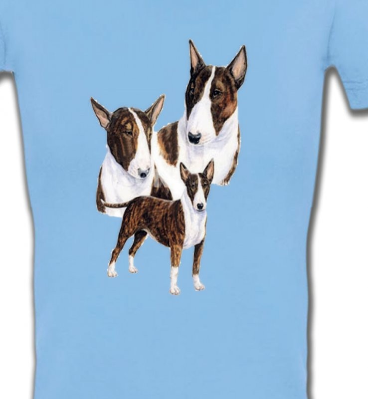 Bull Terrier (H)