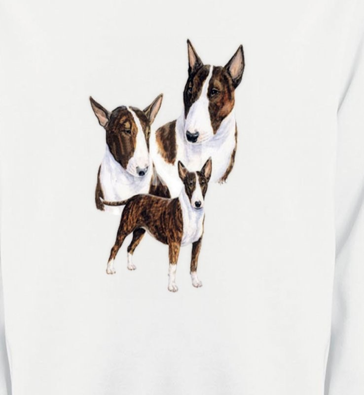Bull Terrier (H)