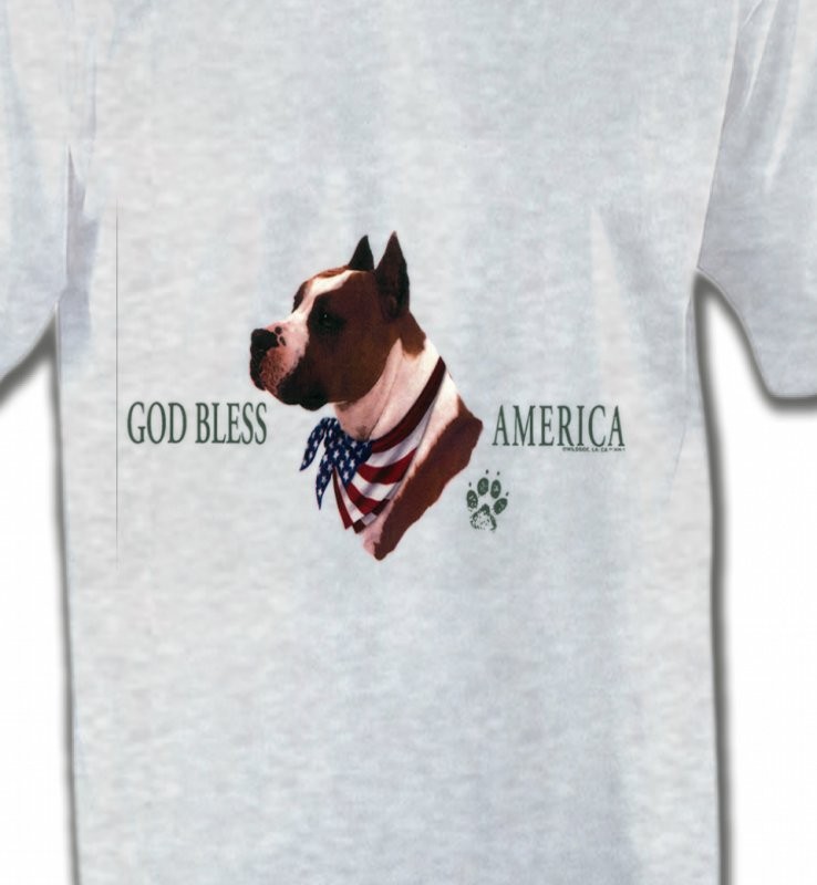 Bull Terrier America
