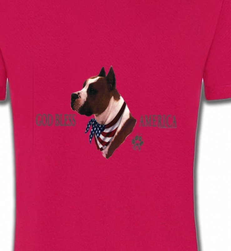 Bull Terrier America