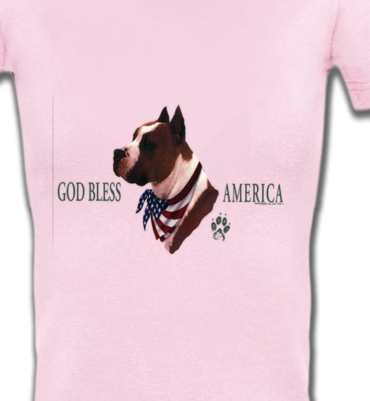 Bull Terrier America