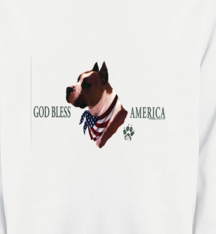 Bull Terrier America