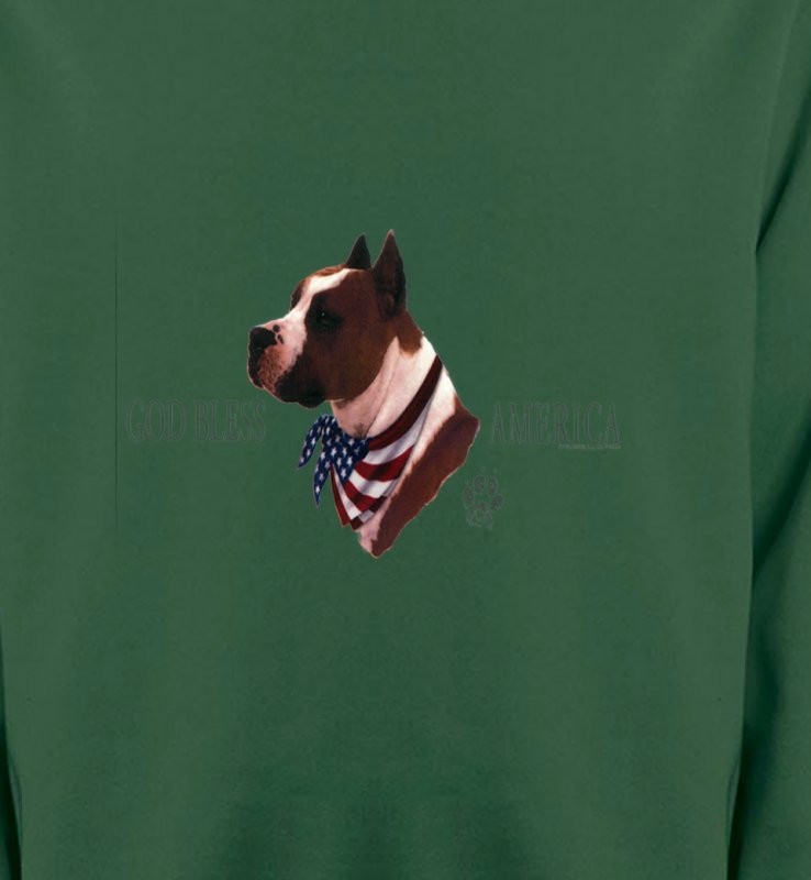 Bull Terrier America