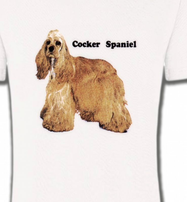 Cocker Spaniel beige (D)