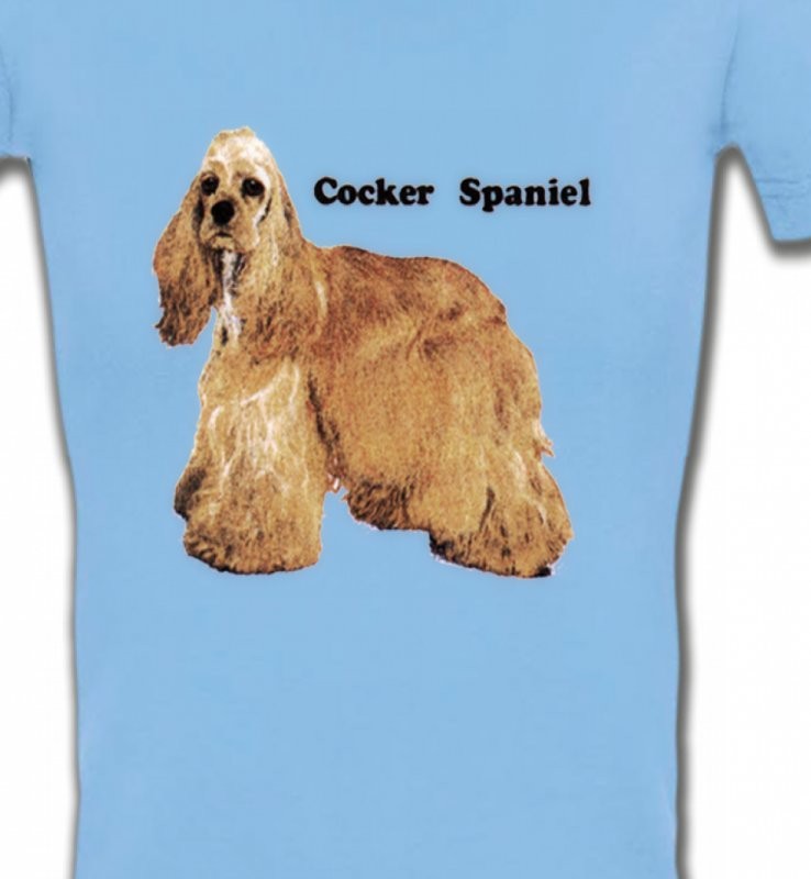 Cocker Spaniel beige (D)