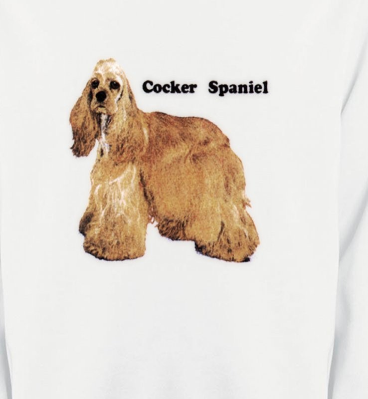Cocker Spaniel beige (D)