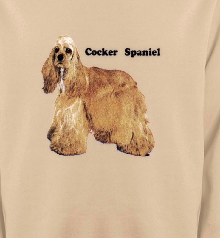 Cocker Spaniel beige (D)
