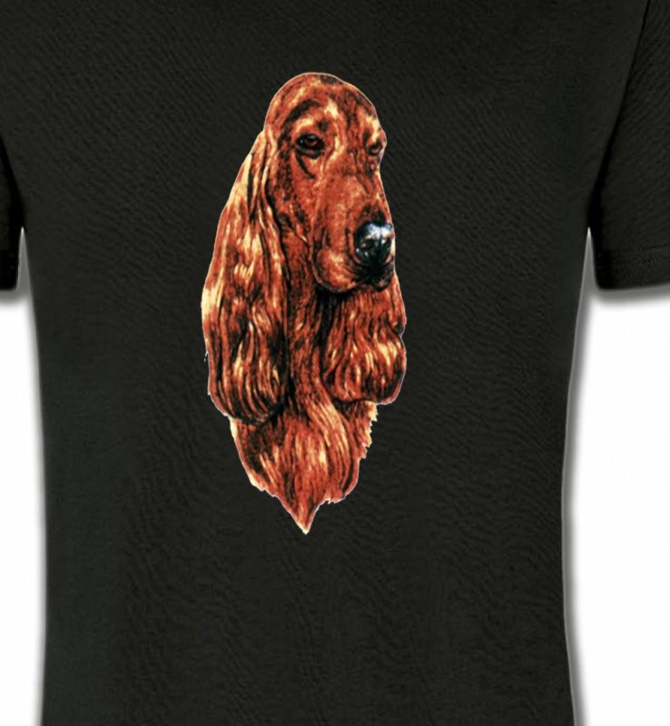 Cocker (Q)