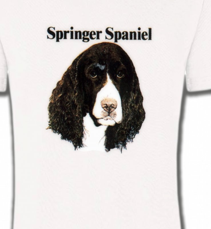 Cocker Spaniel (H)