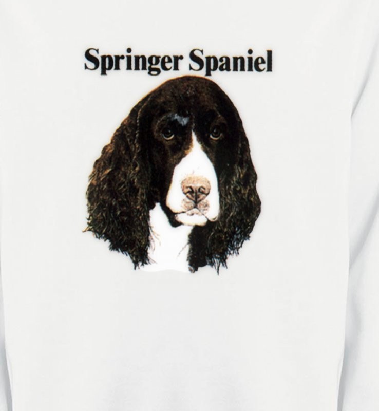 Cocker Spaniel (H)