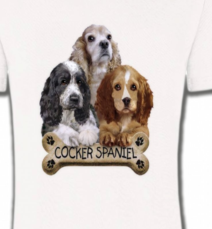 Cocker Spaniel chiots