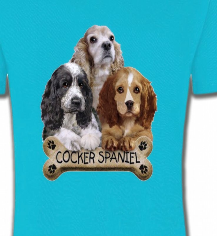 Cocker Spaniel chiots