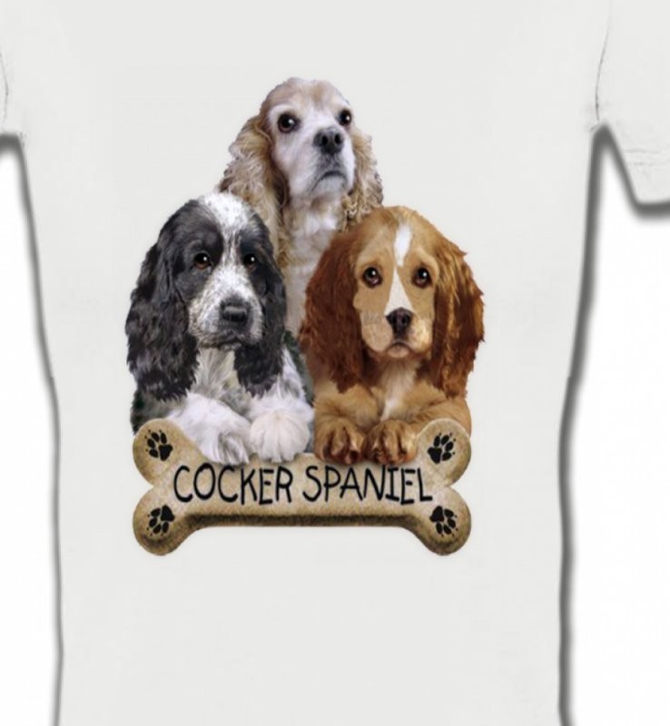 Cocker Spaniel chiots