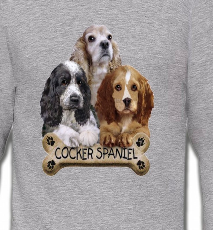 Cocker Spaniel chiots
