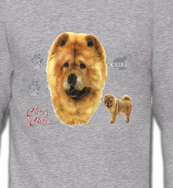 Chow Chow (B)