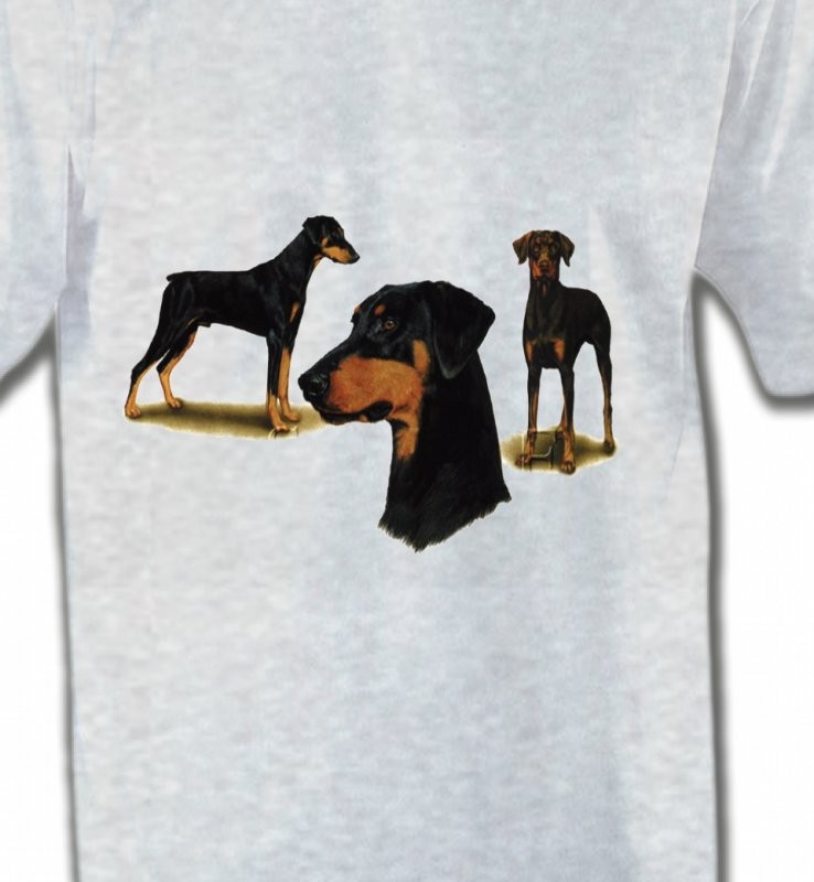 Doberman (A)