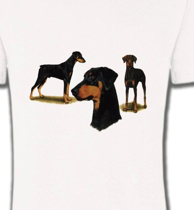 Doberman (A)
