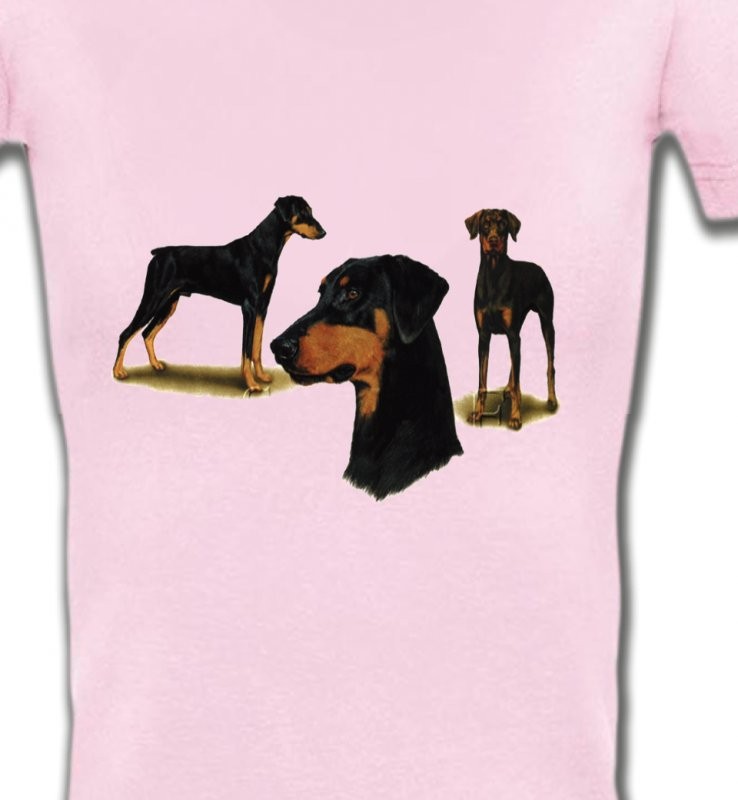 Doberman (A)