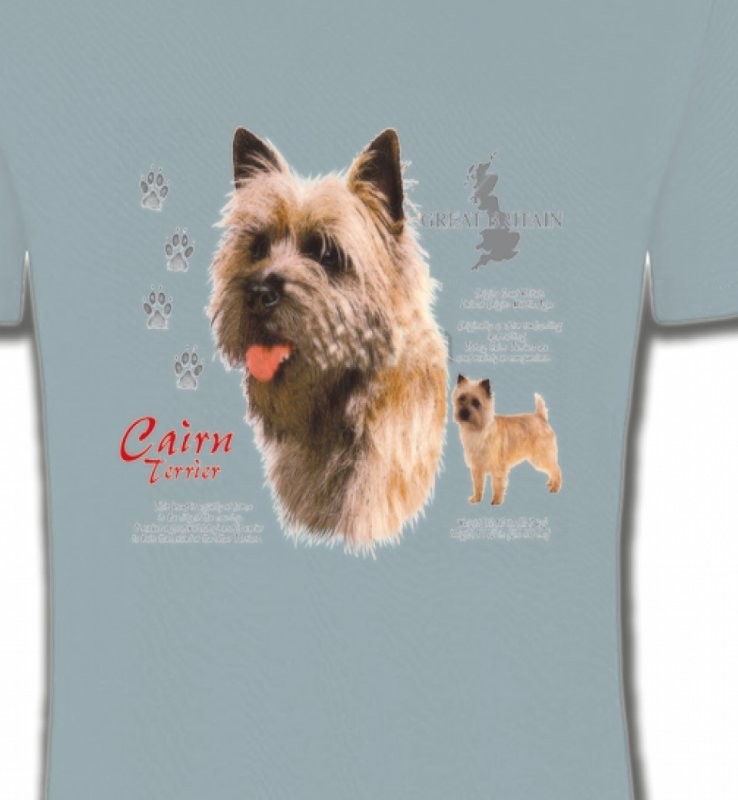 Cairn Terrier (F)