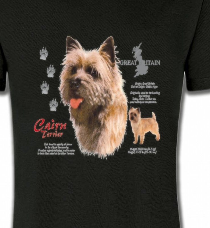 Cairn Terrier (F)