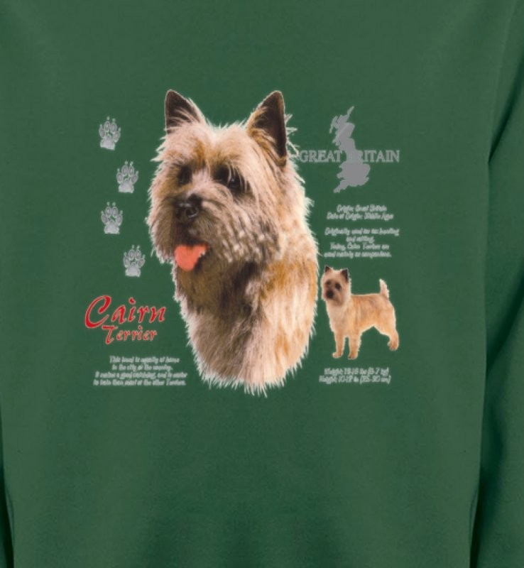 Cairn Terrier (F)