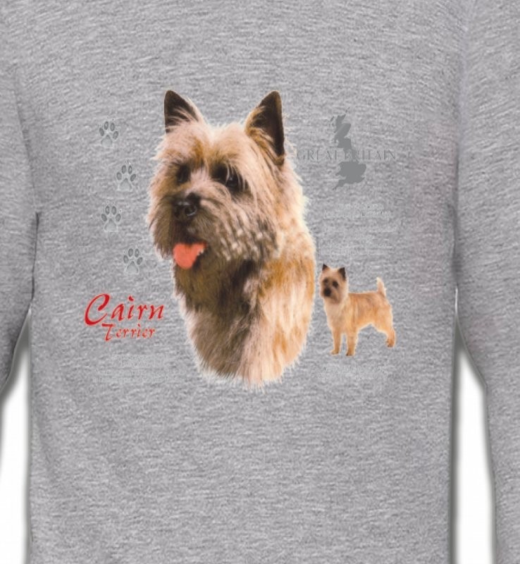 Cairn Terrier (F)