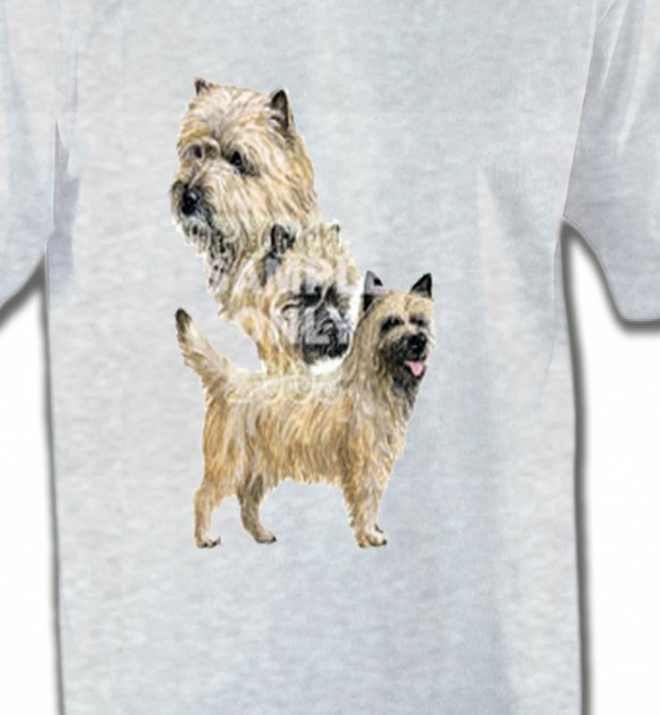 Cairn Terrier (A)