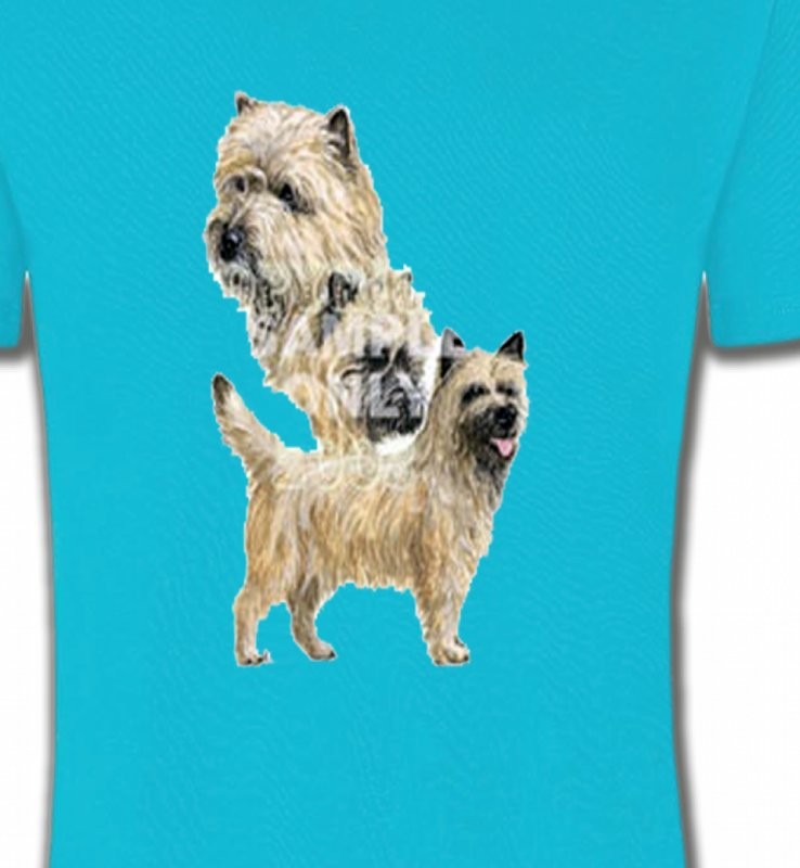 Cairn Terrier (A)