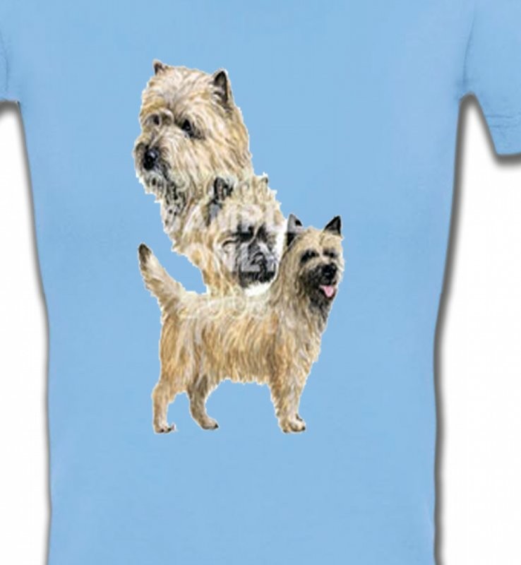 Cairn Terrier (A)