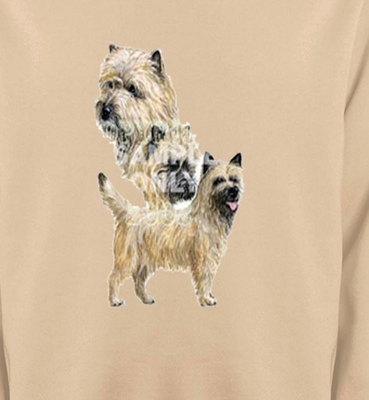 Cairn Terrier (A)