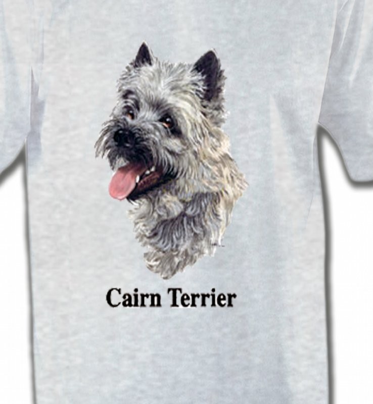 Cairn Terrier (D)