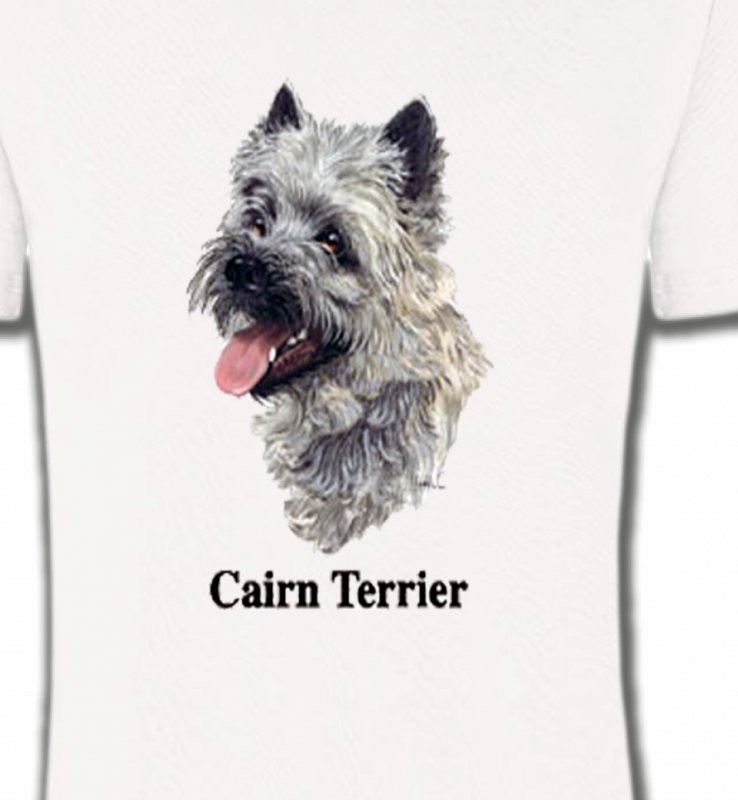 Cairn Terrier (D)