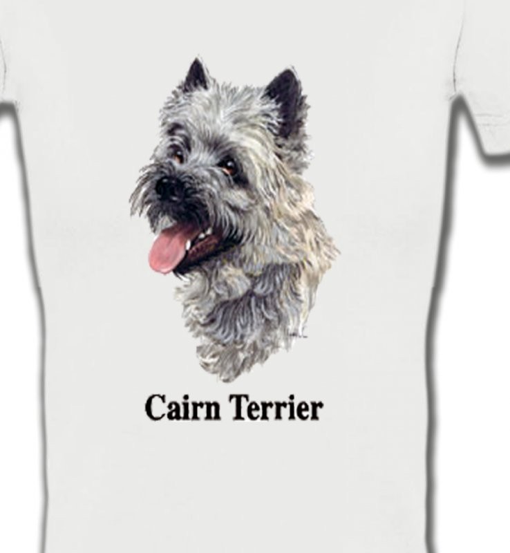 Cairn Terrier (D)