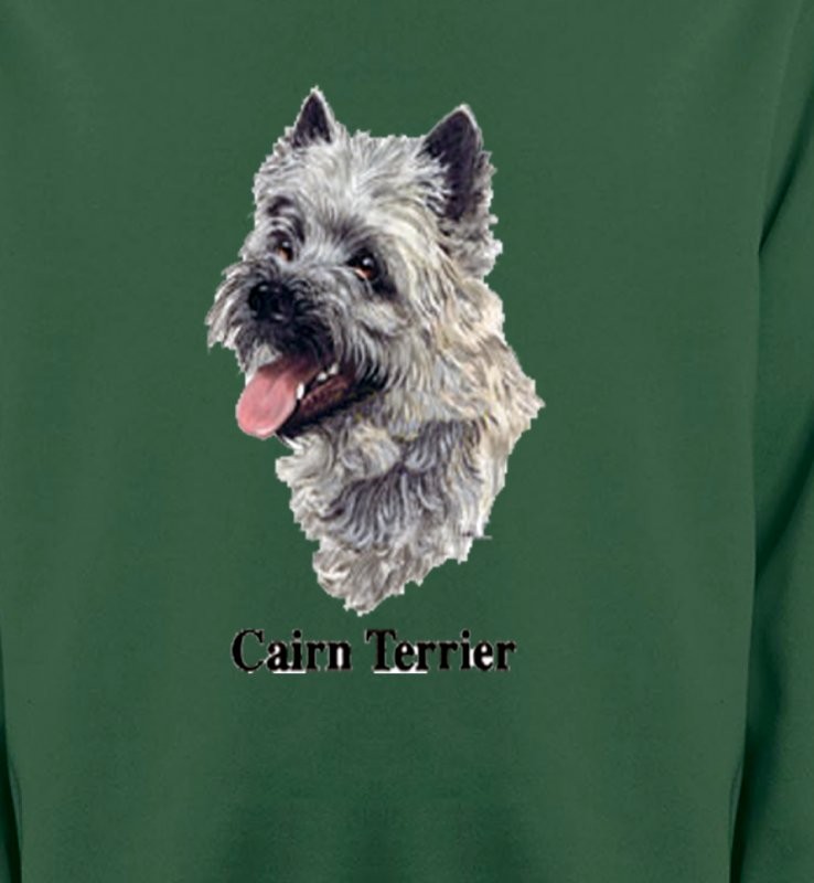 Cairn Terrier (D)