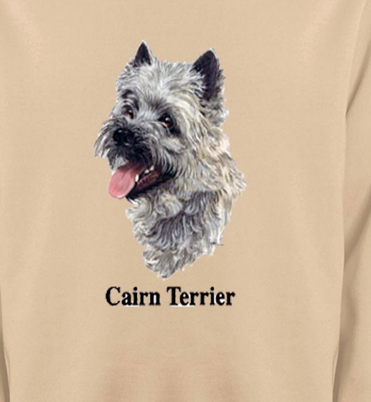 Cairn Terrier (D)