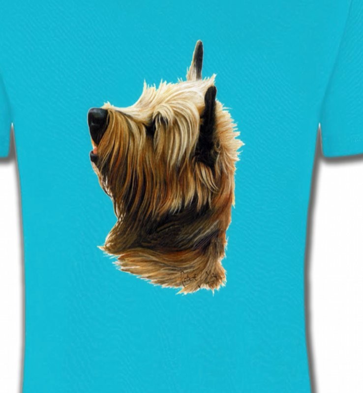 Cairn Terrier (B)