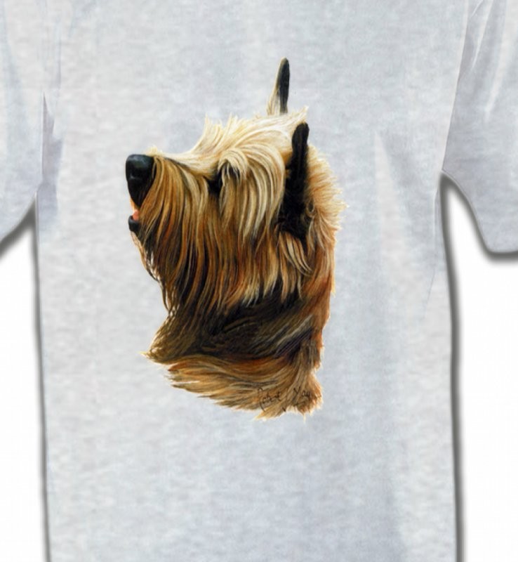 Cairn Terrier (B)