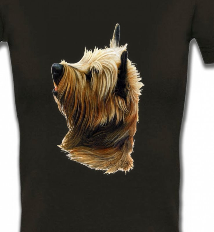 Cairn Terrier (B)