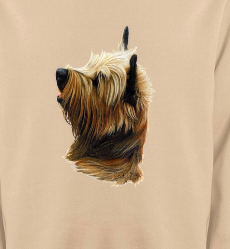 Cairn Terrier (B)