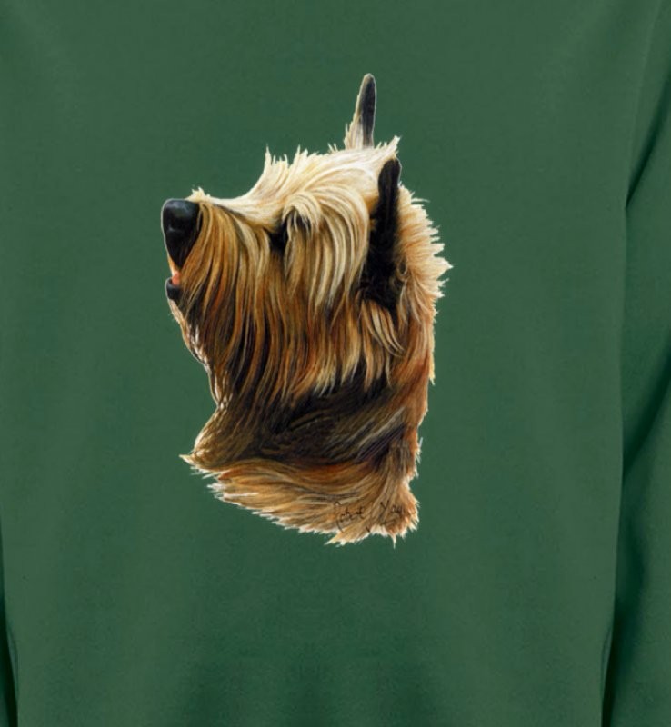 Cairn Terrier (B)