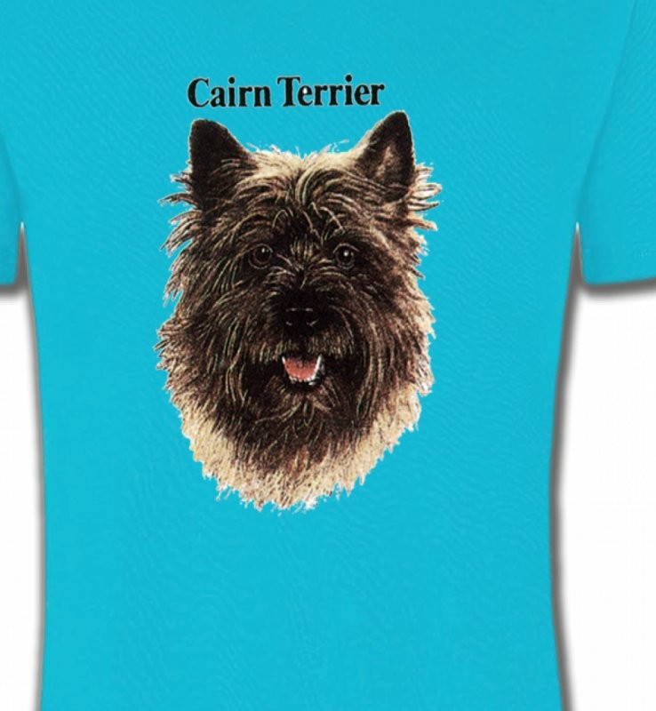Cairn Terrier (C)