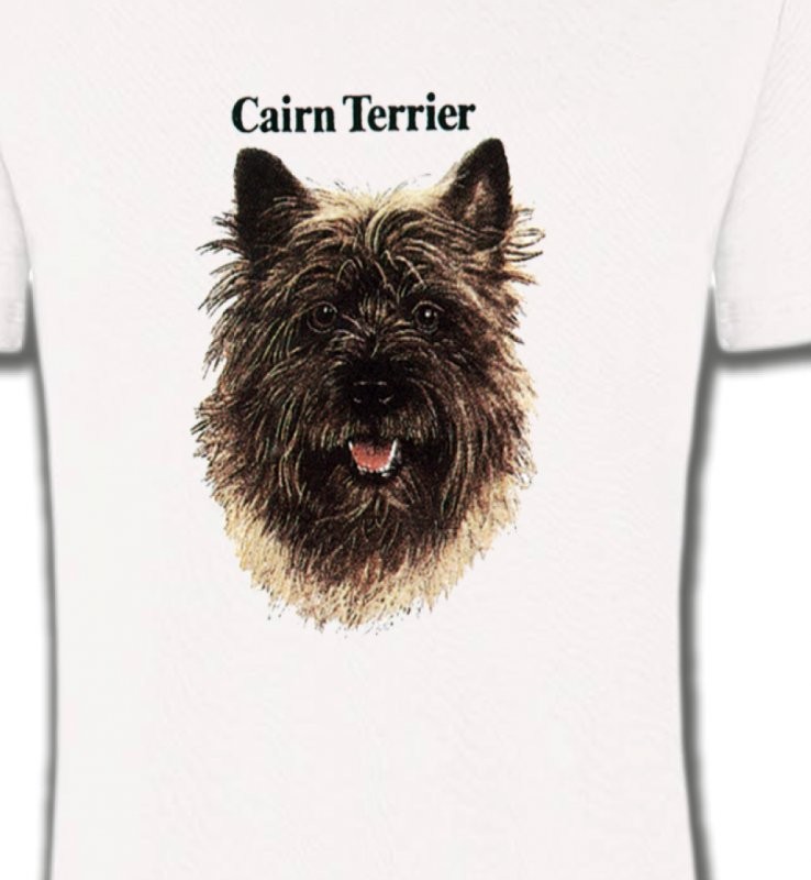 Cairn Terrier (C)