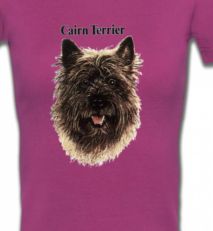 Cairn Terrier (C)