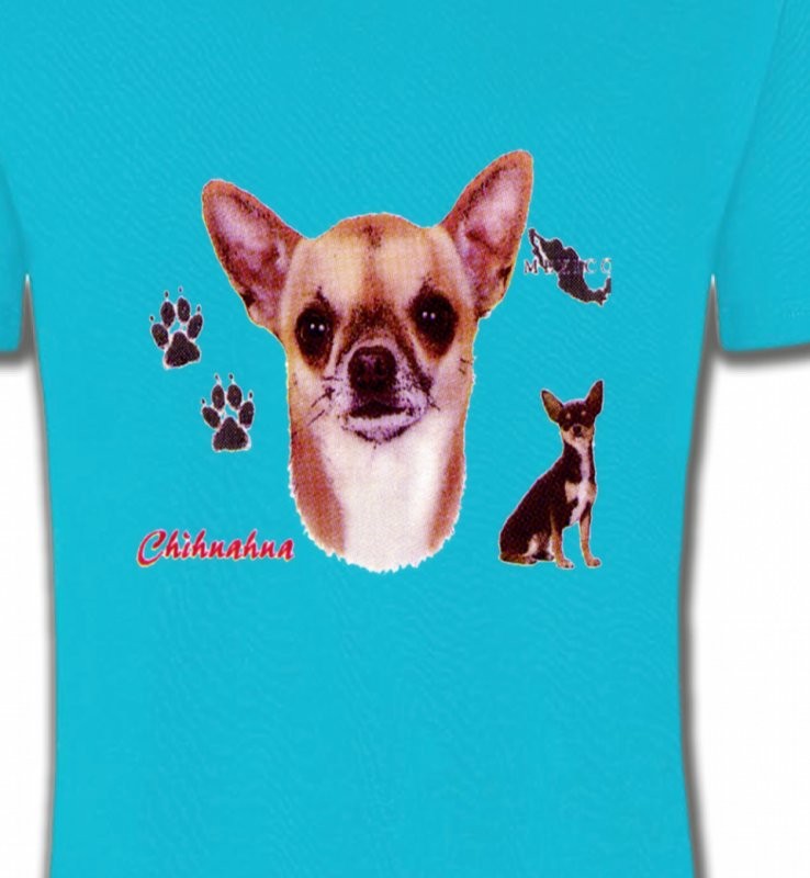 Chihuahua (B)