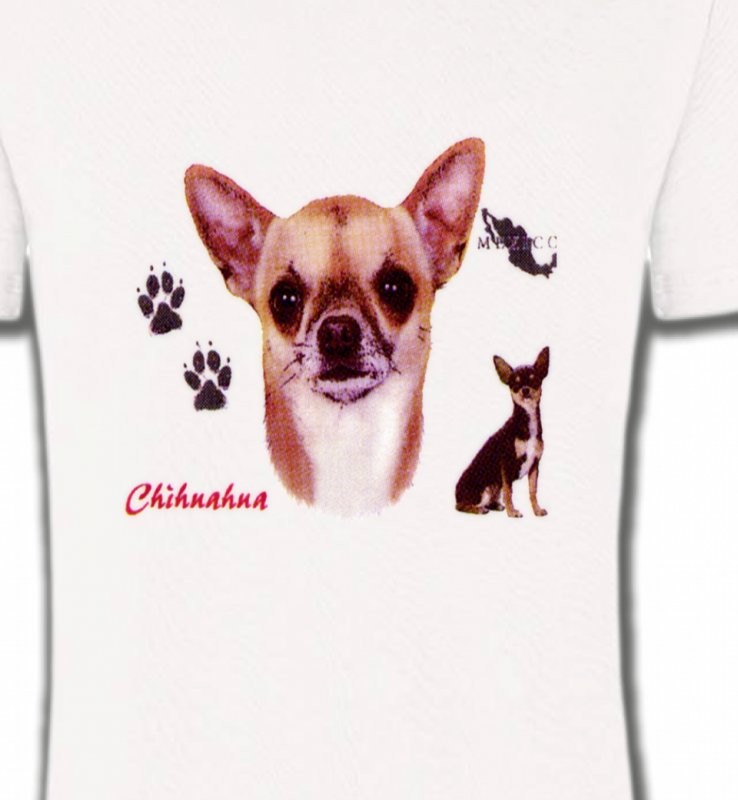Chihuahua (B)