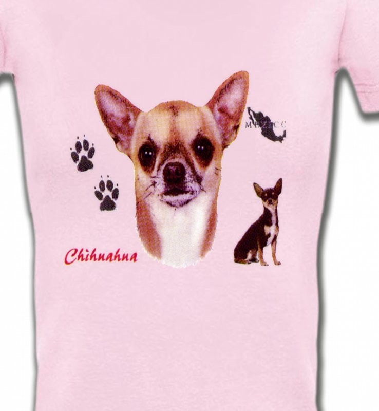 Chihuahua (B)