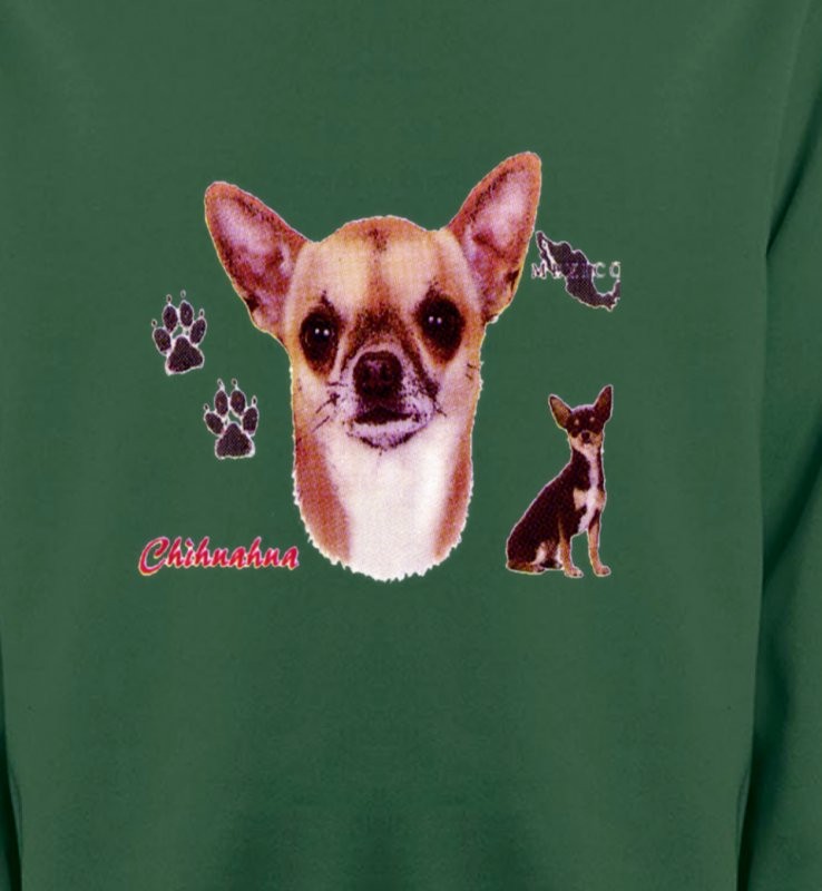 Chihuahua (B)