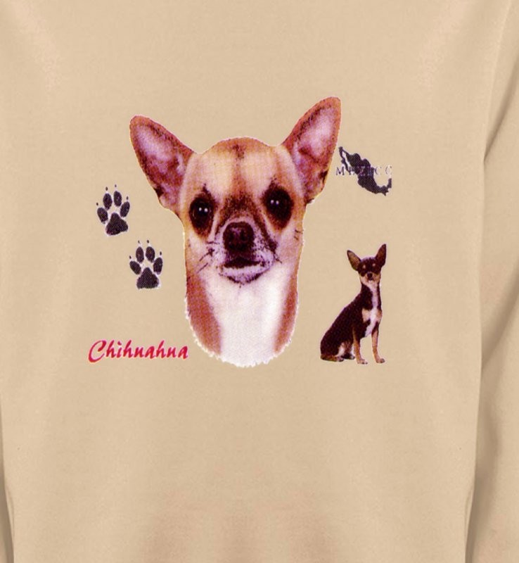 Chihuahua (B)