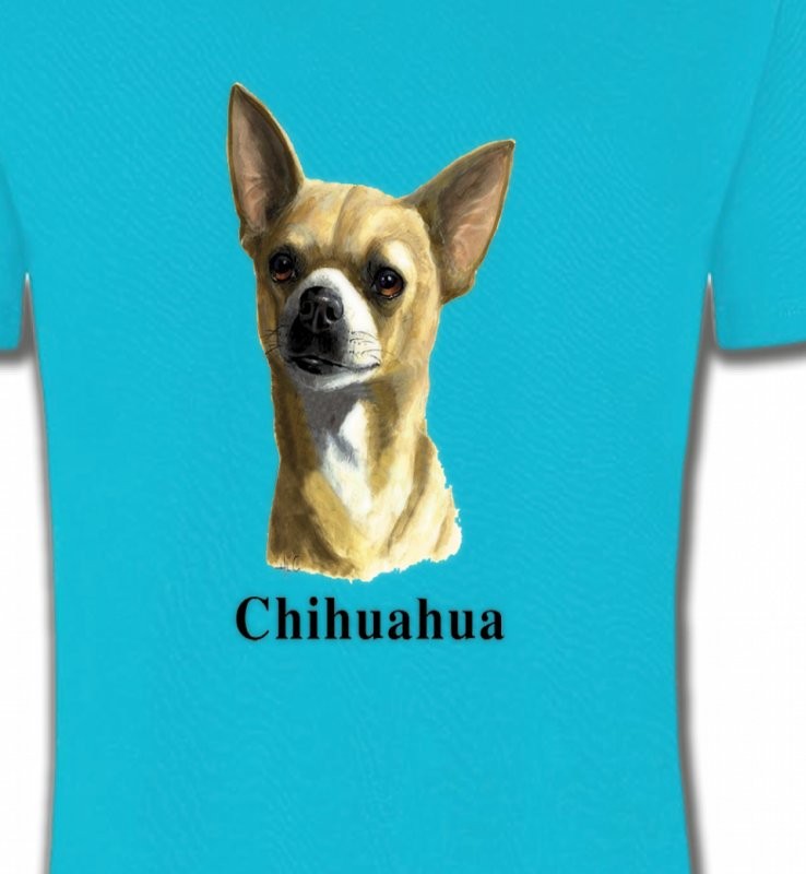 Chihuahua (C)